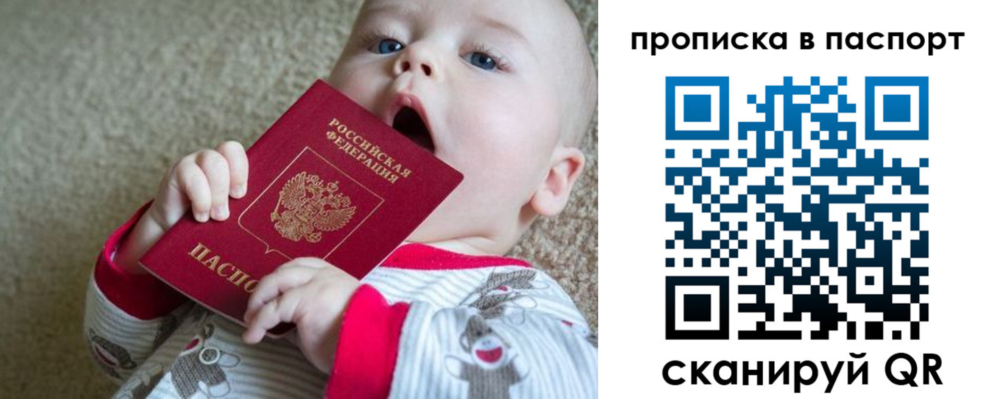 купить прописку в Смоленской области